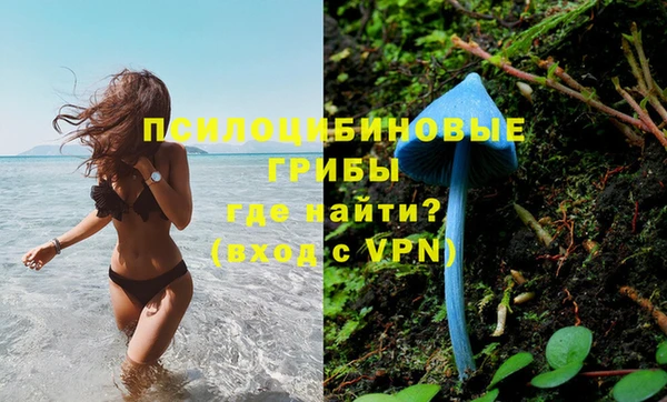 эйфоретик Зеленодольск