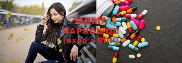 индика Шадринск