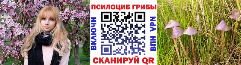 Купить  Меленки  Псилоцибиновые грибы GOLDEN TEACHER 