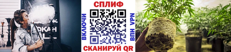 Каннабис Ganja  Купить закладки  Меленки 